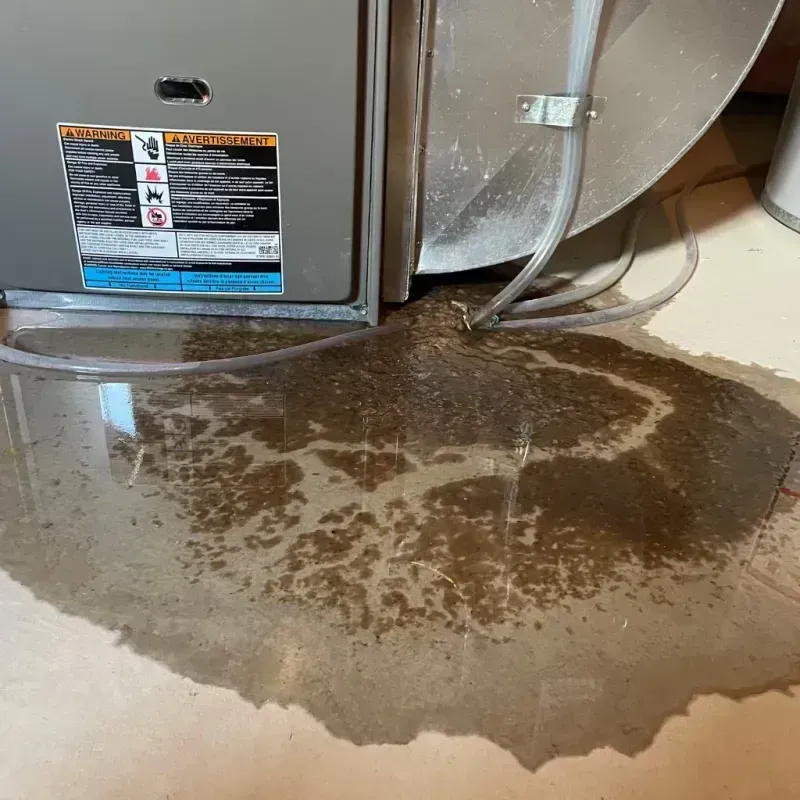 Appliance Leak Cleanup in Naranja, FL